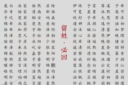 2019年5月22号卯时出生的男孩应该起什么样的名字姓名