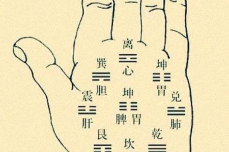 指纹算命,十个斗手指纹算命图解
