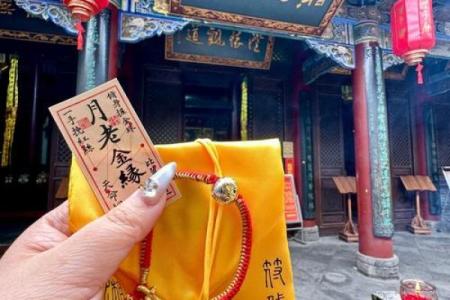 抽牌算命的抽牌图片