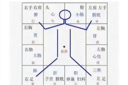 紫薇斗数怎么看