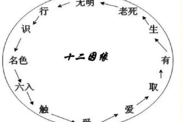 佛教讲解算命法