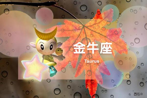 11月6日是什么星座