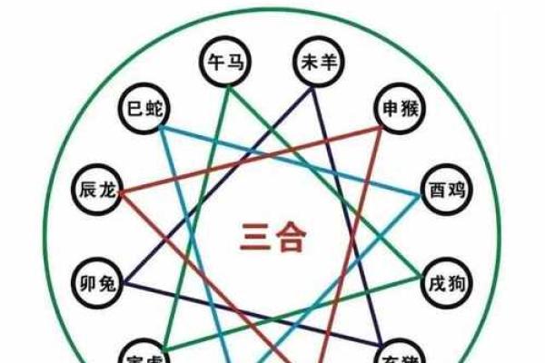 八字命理中的八字地支三合局