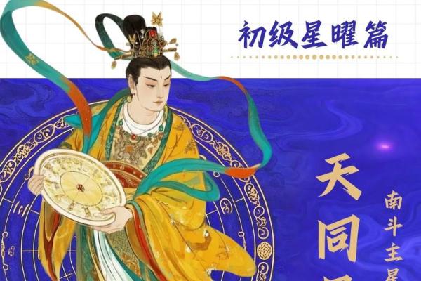 紫薇白娘子紫微斗数书