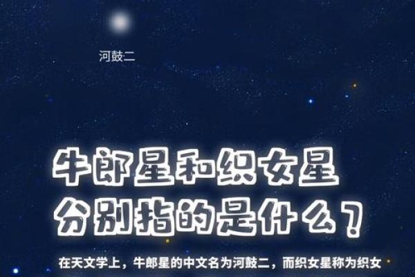 织女星位于哪个星座-牵牛星和织女星各属于什么星座