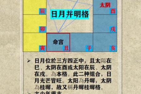 紫微斗数图录 紫薇斗数图？