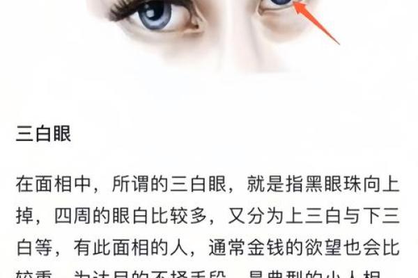 AI看面相 免费看手相，淘宝、朋友圈和微博上的算命先生到底有多野？