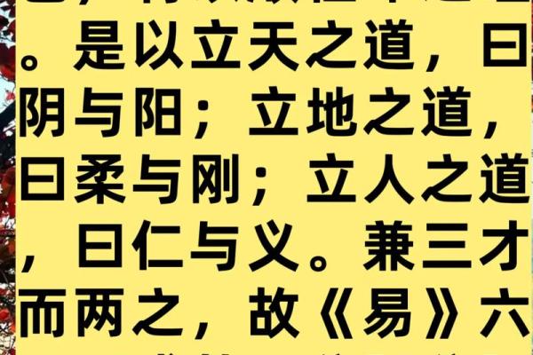 八字象法:观象系辞,圣人则之 八字象法:观象系辞,圣人则之