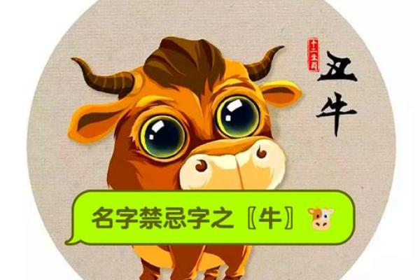 给晚上8点出生的属牛男孩起名用什么字好姓名 给晚上8点出生的属牛男孩起名用什么字好姓名