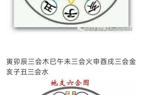 易经详解八字地支相合之六合局