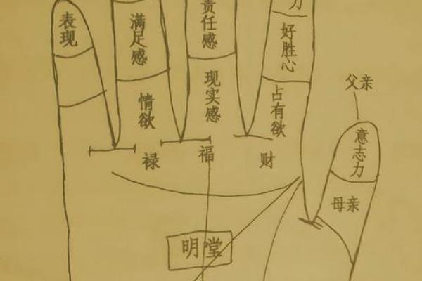 手相算命破解