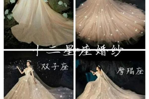 十二星座的水晶婚纱
