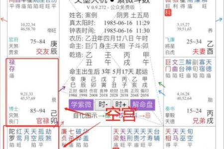 紫薇斗数在线分析免费
