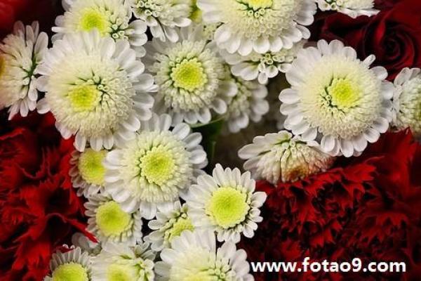 梦别人算命 梦别人算命