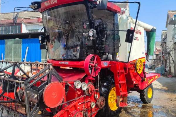 什么样的八字能成为鲜肉收割机 什么样的八字能成为鲜肉收割机