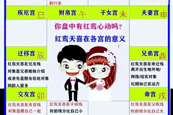 紫薇斗数的故事