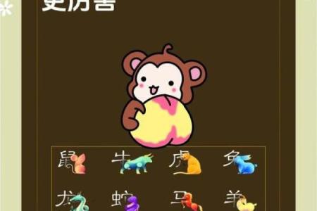 早上八点出生的属猴男孩如何起名，应用什么字姓名