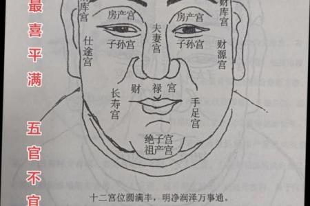 相面八字眉的面相解析与注重方法详解