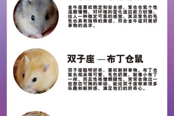 鼠年的星座有哪些属相