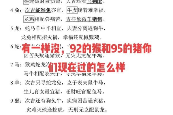 93鸡95猪八字合不合 比较相合的一对