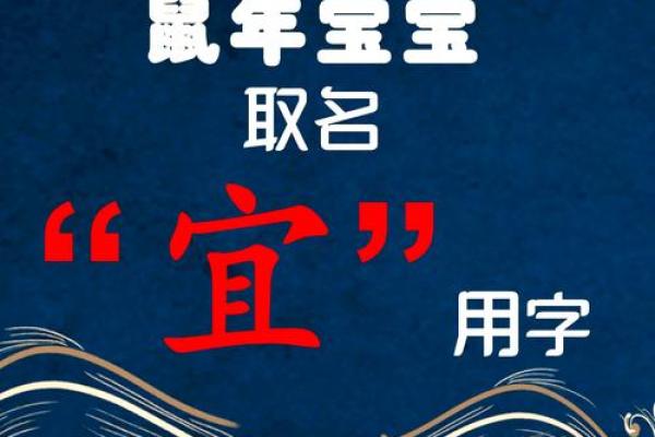 晚上1点出生的属鼠男孩取名大全姓名