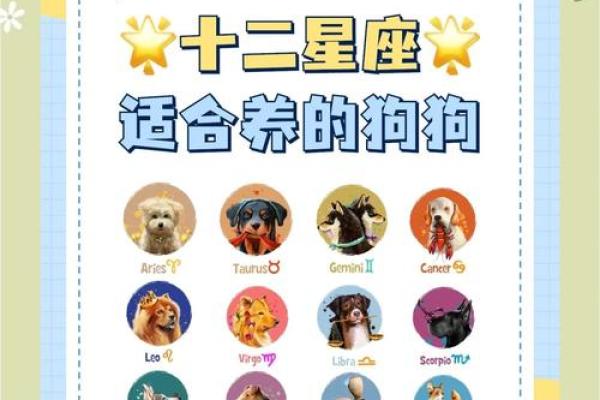 十二星座专属宠物