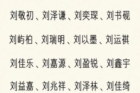 2019年3月27号子时出生的男孩应该起什么样的名字姓名