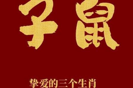 晚上1点出生的属鼠男孩取名大全姓名