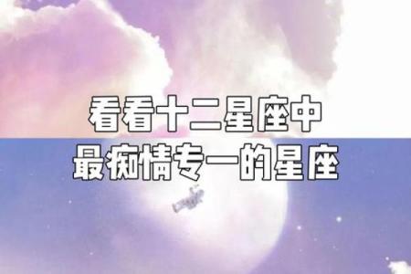 12星座痴情于某人时会做些什么