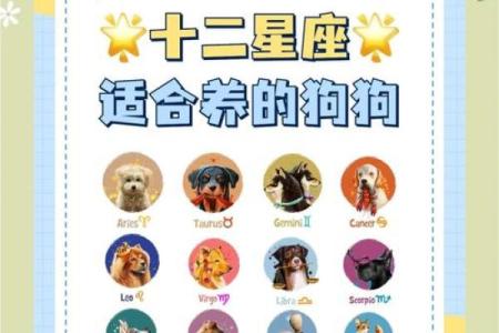 十二星座专属宠物