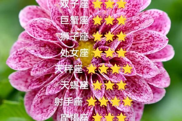 每日星座运势1212