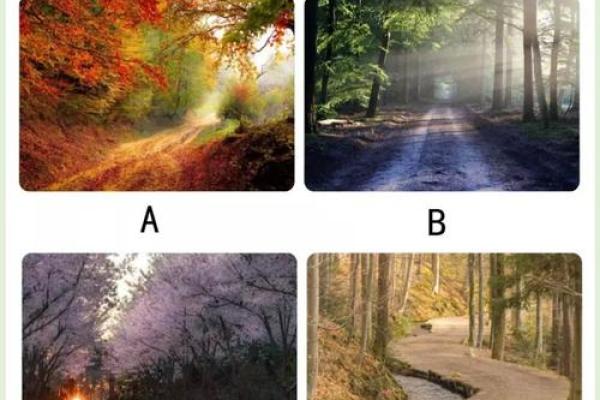 神准测试-你要如何才能获得成功？