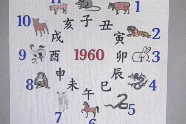 紫薇斗数新浪博客