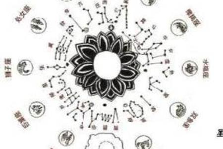 紫薇斗数星宫图