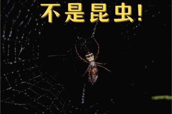 12星座的男生最害怕哪种昆虫 12星座的男生最害怕哪种昆虫