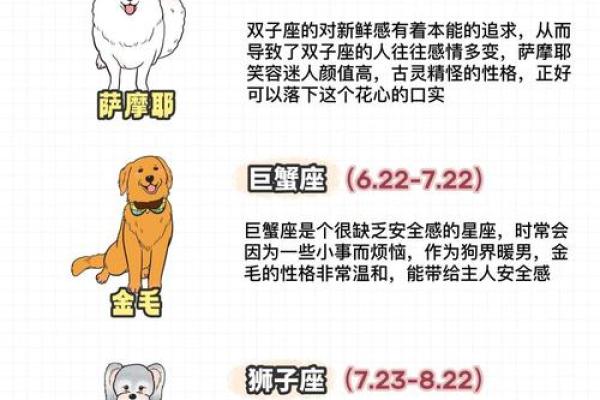 12星座中哪些星座直觉第六感特别准？