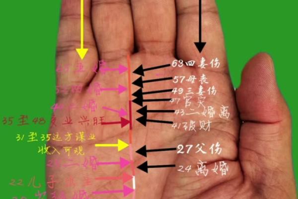 凯帝阿手相算命图解大全05