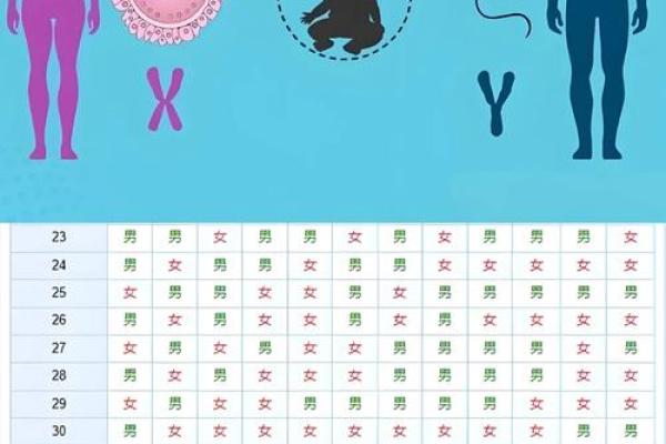 免费算命一生有几个孩子,子女线要怎么看