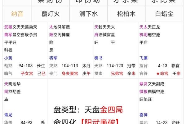 【紫微斗数】排盘技巧038:紫微斗数的未来发展 【紫微斗数】排盘技巧038:紫微斗数的未来发展