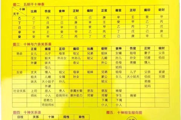 白鹤神数量指算命 白鹤神数量指算命