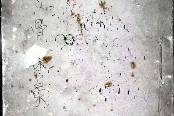 白鹤老师算命不准 白鹤老师算命不准