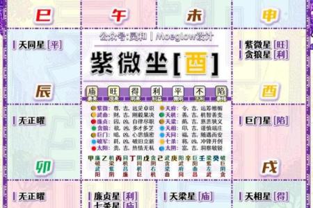 倪海厦紫薇斗数化忌结婚