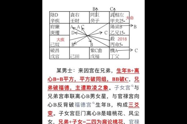 紫薇斗数群聊吧