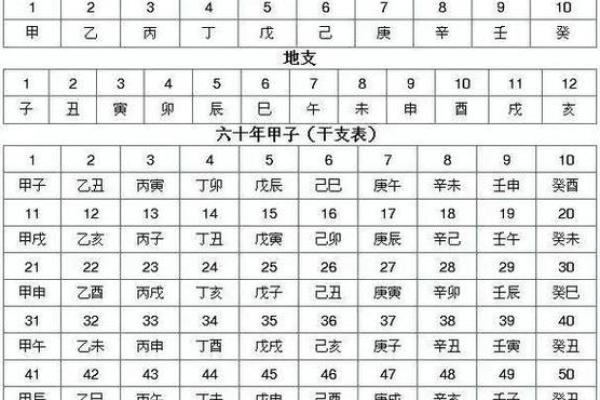 八字阴阳对照表，天干阴阳五行表