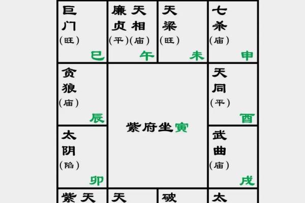 紫微斗数之夫妻宫与诸星,武曲星在夫妻宫是什么意思？