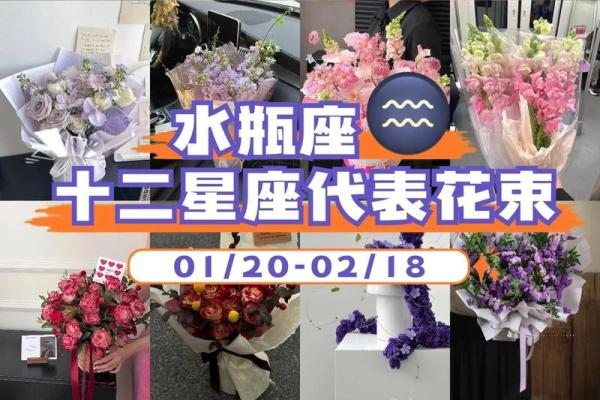 水瓶座比较适合结婚的星座 水瓶座比较适合结婚的星座