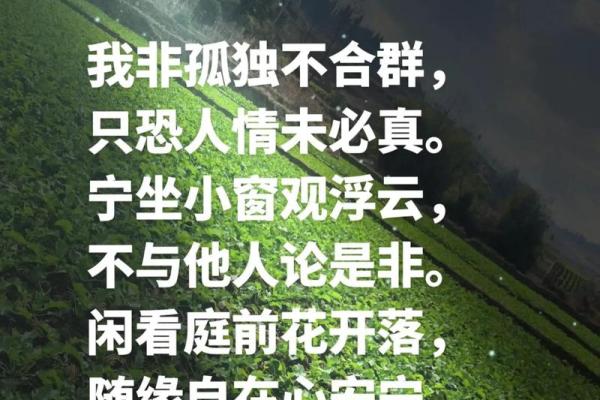 紫薇斗数看孤独终老 紫薇斗数看孤独终老
