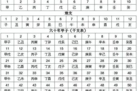 八字阴阳对照表，天干阴阳五行表