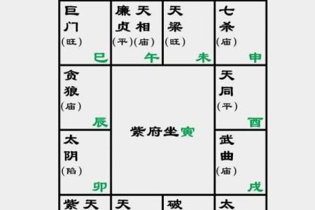 紫微斗数之夫妻宫与诸星,武曲星在夫妻宫是什么意思？