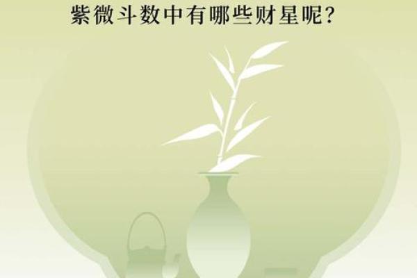 紫薇斗数看钱财